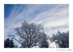 10 Natur