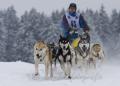 25 Rennsteig Longtrail