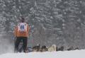 29 Rennsteig Longtrail
