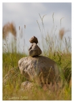 01 Natur